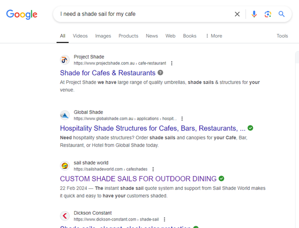 SEO screen capture numbr 21